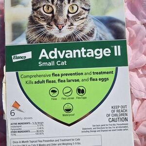 Advantage II Small Cat Flea Prevention And Treatment  6 Monthly Doese